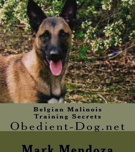 Belgian Malinois Training Secrets: Obedient-Dog.net
