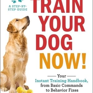 Train Your Dog Now!: Your Instant Training Handbook, from Basic Commands to Behavior Fixes