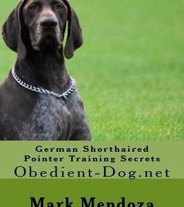 German Shorthaired Pointer Training Secrets: Obedient-Dog.net