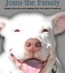 A Deaf Dog Joins the Family: Training, Education, and Communication for a Smooth Transition