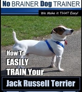 Jack Russell Terrier - Dog Training With The No BRAINER Dog TRAINER - WE Make it THAT Easy! -: How To Easily Train Your Jack Russell Terrier