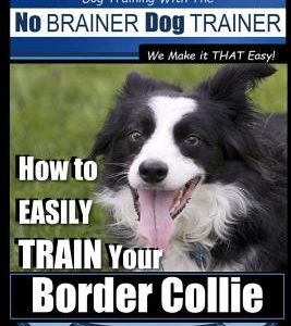 Border Collie Training Dog Training with the No BRAINER Dog TRAINER We Make it THAT Easy!: How To EASILY TRAIN Your Border Collie