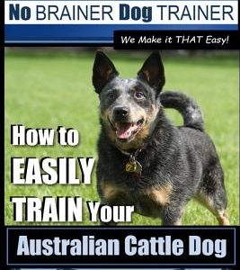 Australian Cattle Dog Dog Training with the No Brainer Dog Trainer We Make It That Easy!: How to Easily Train Your Australian Cattle Dog