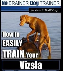 Vizsla Dog Training - Dog Training with the No BRAINER Dog TRAINER We Make it THAT Easy! -: How to EASILY TRAIN Your Vizsla