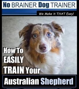 Australian Shepherd Dog Training with the No Brainer Dog Trainer We Make It That Easy!: How to Easily Train Your Australian Shepherd