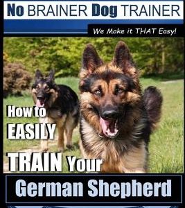 German Shepherd Dog Training with the No BRAINER Dog TRAINER We Make it THAT Easy!: How To EASILY TRAIN Your German Shepherd