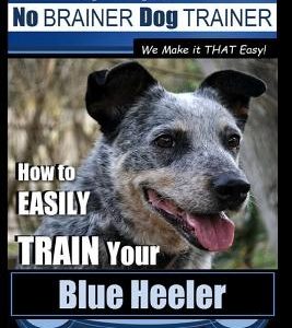 Blue Heeler Training Dog Training with the No Brainer Dog Trainer We Make It That Easy!: How to Easily Train Your Blue Heeler