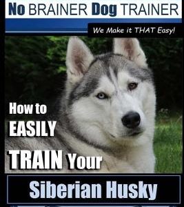 Siberian Husky Training - Dog Training with the No BRAINER Dog TRAINER We Make it THAT Easy! -: How to EASILY TRAIN Your Siberian Husky