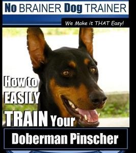 Doberman Pinscher Training - Dog Training with the No Brainer Dog Trainer We Make It That Easy!: How to Easily Train Your Doberman Pinchser