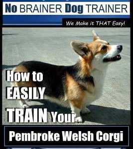 Pembroke Welsh Corgi Training - Dog Training with the No BRAINER Dog TRAINER We make it THAT Easy!: How to EASILY TRAIN Your Pembroke Welsh Cogri