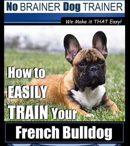 French Bulldog Training - Dog Training with the No BRAINER Dog TRAINER We Make it THAT Easy!: How To EASILY TRAIN Your French Bulldog