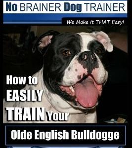 Olde English Bulldogge Training - Dog Training with the No BRAINER Dog TRAINER We Make it THAT Easy!: How to EASILY TRAIN Your Olde English Bulldogge