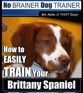 Brittany Spaniel Training Dog Training with the No Brainer Dog Trainer We Make It That Easy!: How to Easily Train Your Brittany Spaniel