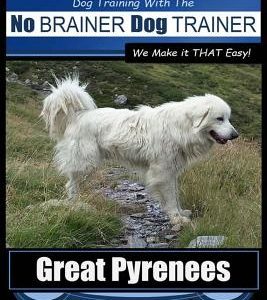 Great Pyrenees Training - Dog Training with the No BRAINER Dog TRAINER We Make it THAT Easy!: How to EASILY TRAIN Your Great Pyrenees