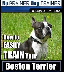 Boston Terrier Training - Dog Training with the No BRAINER Dog TRAINER We Make it THAT Easy!: How to EASILY TRAIN Your Boston Terrier