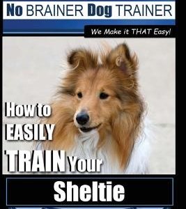 Sheltie Training - Dog Training with the No BRAINER Dog TRAINER We Make it THAT Easy!: How to EASILY TRAIN Your Sheltie