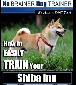 Shiba Inu Training - Dog Training with the No BRAINER Dog TRAINER We Make it That Easy!: How to EASILY TRAIN Your Shiba Inu