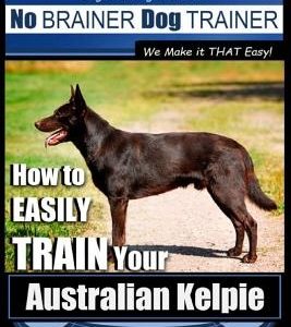 Australian Kelpie Training - Dog Training with the No BRAINER Dog TRAINER We Make it THAT Easy!: How to EASILY TRAIN Your Australian Kelpie