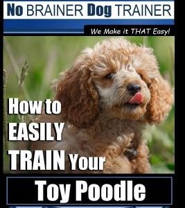 Toy Poodle Training - Dog Training with the No BRAINER Dog TRAINER We Make it THAT Easy!: How to EASILY TRAIN Your Toy Poodle
