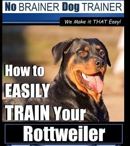 Rottweiler Training, Dog Training with the No BRAINER dog TRAINER We make it THAT easy!: How to EASILY TRAIN Your Rottweiler