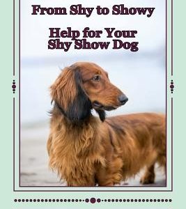 From Shy to Showy: Help for your shy show dog
