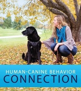 Human-Canine Behavior Connection