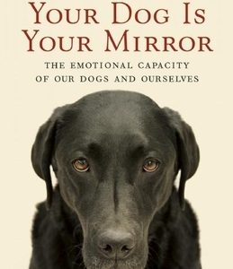 Your Dog Is Your Mirror: The Emotional Capacity of Our Dogs and Ourselves