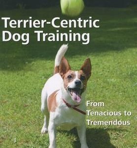 Terrier-Centric Training: From Tenacious to Tremendous