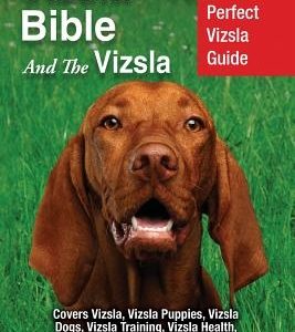 Vizsla Bible And the Vizsla: Your Perfect Vizsla Guide Covers Vizsla, Vizsla Puppies, Vizsla Dogs, Vizsla Training, Vizsla Health, Vizsla Breeders,