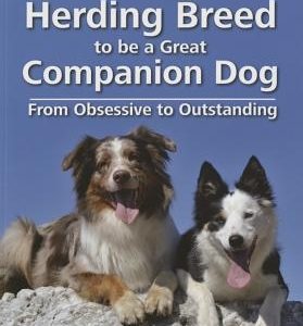 Teach Your Herding Breed to Be a Great Companion Dog, from Obsessive to Outstanding