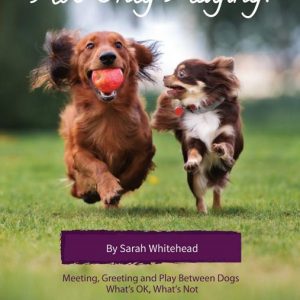 He's Only Playing: Meeting, Greeting and Play Between Dogs. What's Ok, What's Not.