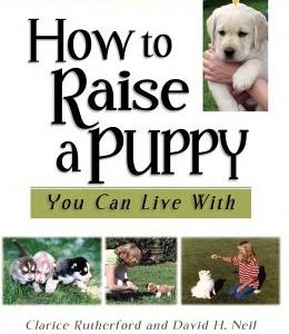 How to Raise a Puppy You Can Live with