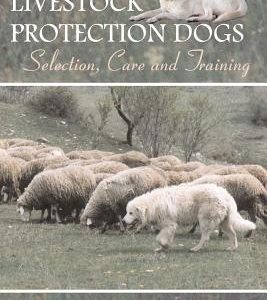 Livestock Protection Dogs: Selection, Care and Training