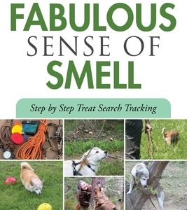 A Dog's Fabulous Sense of Smell