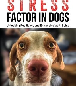 The Stress Factor in Dogs: Unlocking Resiliency and Enhancing Well-Being