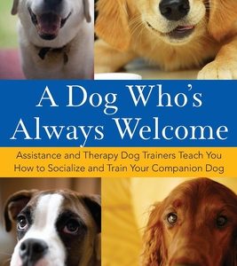 A Dog Who's Always Welcome: Assistance and Therapy Dog Trainers Teach You How to Socialize and Train Your Companion Dog