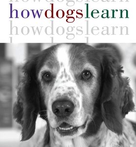 How Dogs Learn