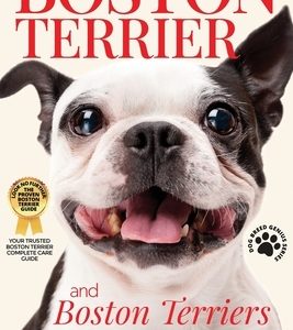 Boston Terrier And Boston Terriers: Boston Terrier Total Guide Boston Terrier, Boston Terrier Puppies, Boston Terriers, Boston Terrier Dogs, Boston Te