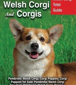Pembroke Welsh Corgi And Corgis: Pembroke Welsh Corgi Total Guide Pembroke Welsh Corgi, Corgi Puppies, Corgi Puppies for Sale, Pembroke Welsh Corgi Br