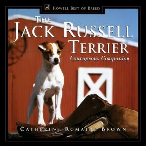 The Jack Russell Terrier: Courageous Companion