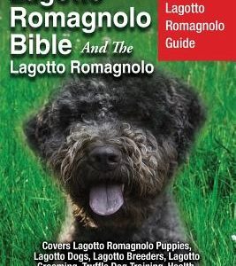 Lagotto Romagnolo Bible And The Lagotto Romagnolo: Your Perfect Lagotto Romagnolo Guide Covers Lagotto Romagnolo Puppies, Lagotto Dogs, Lagotto Breede