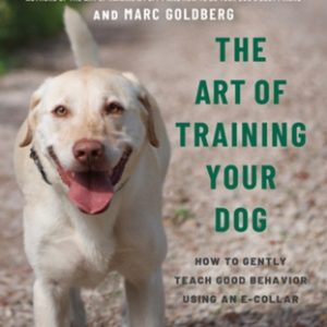 The Art of Training Your Dog: How to Gently Teach Good Behavior Using an E-Collar