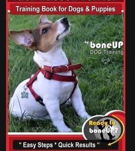 Jack Russell Terrier Training Book for Dogs and Puppies by Boneup Dog Training: Are You Ready to Boneup? Easy Steps * Quick Results Jack Russell Terri