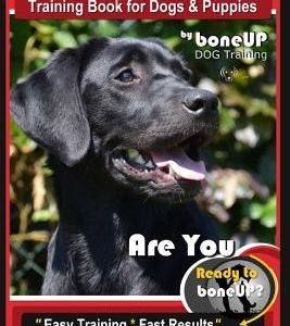 Black Lab, Black Labrador Retriever Training Book for Dogs & Puppies by Boneup Dog Training: Are You Ready to Bone Up? Easy Training * Fast Results Bl