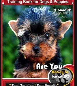Yorkie, Yorkie Book Training Book for Dogs and Puppies by Bone Up Dog Training: Are You Ready to Bone Up? Easy Steps * Fast Results Yorkie Terrier Boo