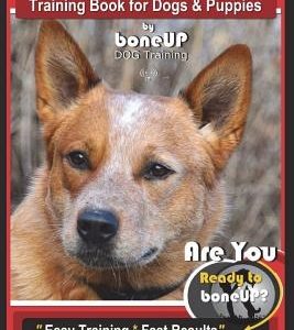 Australian Cattle Dog Training Book for Dogs and Puppies by Bone Up Dog Training: Are You Ready to Bone Up? Easy Training * Fast Results Australian Ca