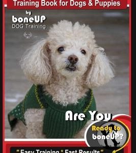 Toy Poodle Training Book for Dogs and Puppies by Bone Up Dog Training: Are You Ready to Bone Up? Easy Training * Fast Results