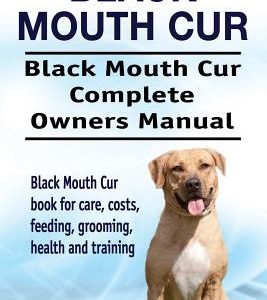 Black Mouth Cur. Black Mouth Cur Complete Owners Manual. Black Mouth Cur book for care, costs, feeding, grooming, health and training.
