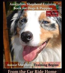 Australian Shepherd, Australian Shepherd Training Book for Dogs and Puppies by D!G THIS Dog Training: Aussie Shepherd Training Begins From the Car Rid