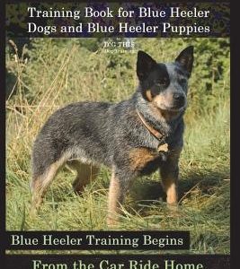Blue Heeler Training Book for Blue Heeler Dogs and Blue Heeler Puppies By D!G THIS Dog Training: Blue Heeler Training Begins From the Car Ride Home Bl